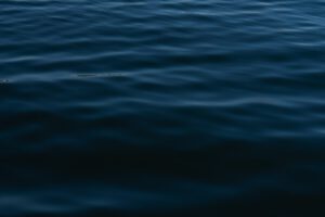 The Hedged Equity Landscape